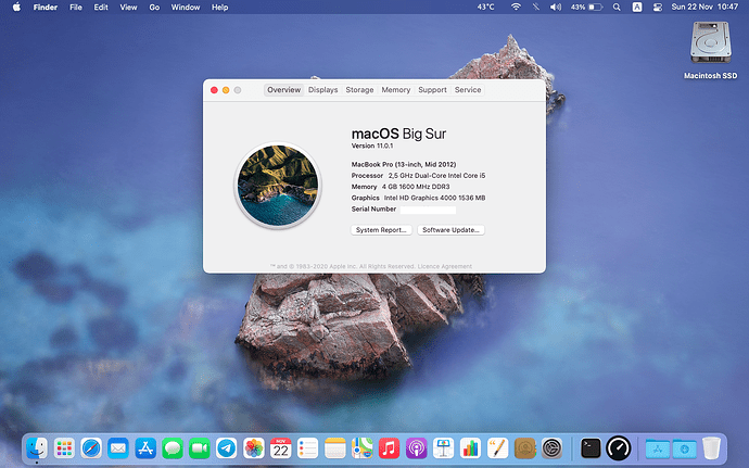 Screenshot 2020-11-22 at 10.47.33
