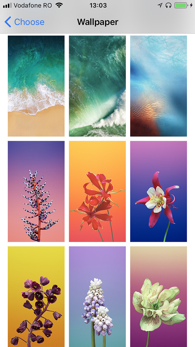 978F478C-7B54-4C04-9E96-3C0917C7D121