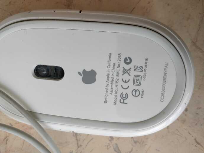 magic mouse2