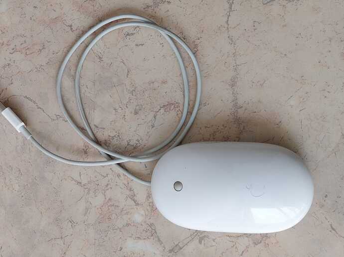 magic mouse1